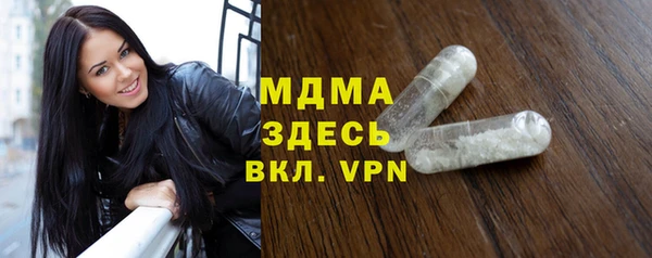 гашик Алексин