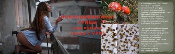 марки lsd Алексеевка