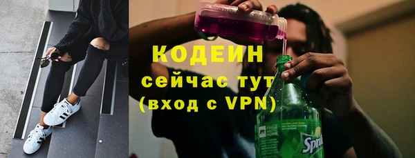 гашик Алексин