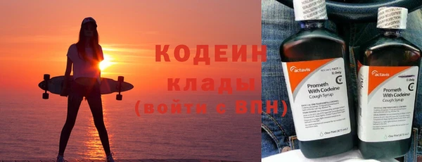 гашик Алексин