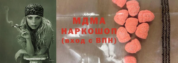 гашик Алексин
