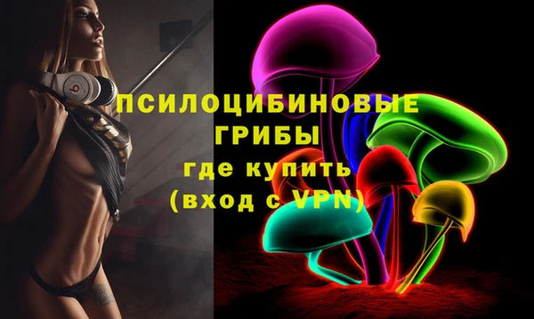 эйфоретик Алзамай