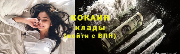 гашик Алексин