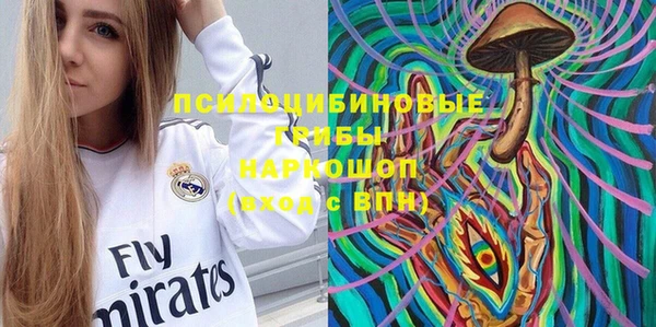 эйфоретик Алзамай