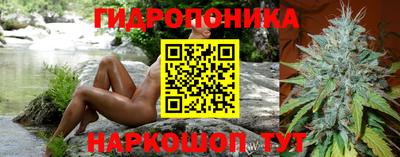 тгк Краснодар